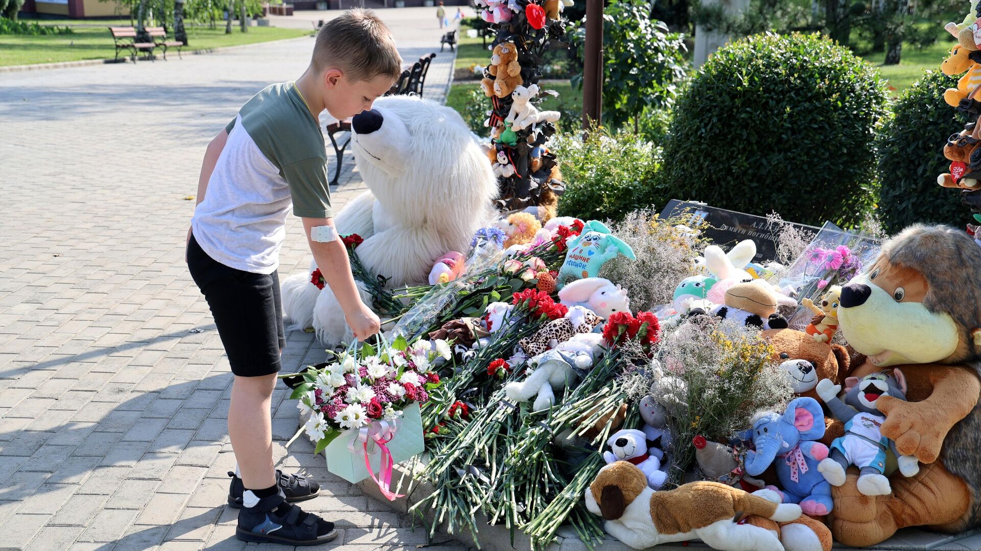 Мальчик возлагает цветы к мемориалу в память о детях, погибших из-за обстрелов Донбасса вооруженными силами Украины, на Аллее ангелов в парке Ленинского Комсомола в Донецке - РИА Новости, 1920, 13.08.2024