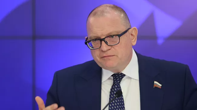 Заместитель председателя комитета СФ по экономической политике Константин Долгов. Архивное фото