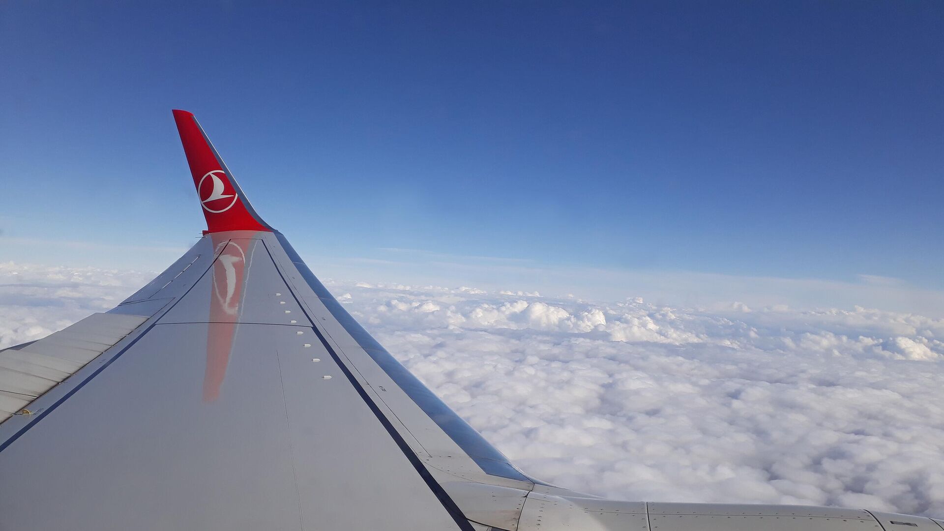 Самолет авиакомпании Turkish Airlines  - РИА Новости, 1920, 05.11.2023