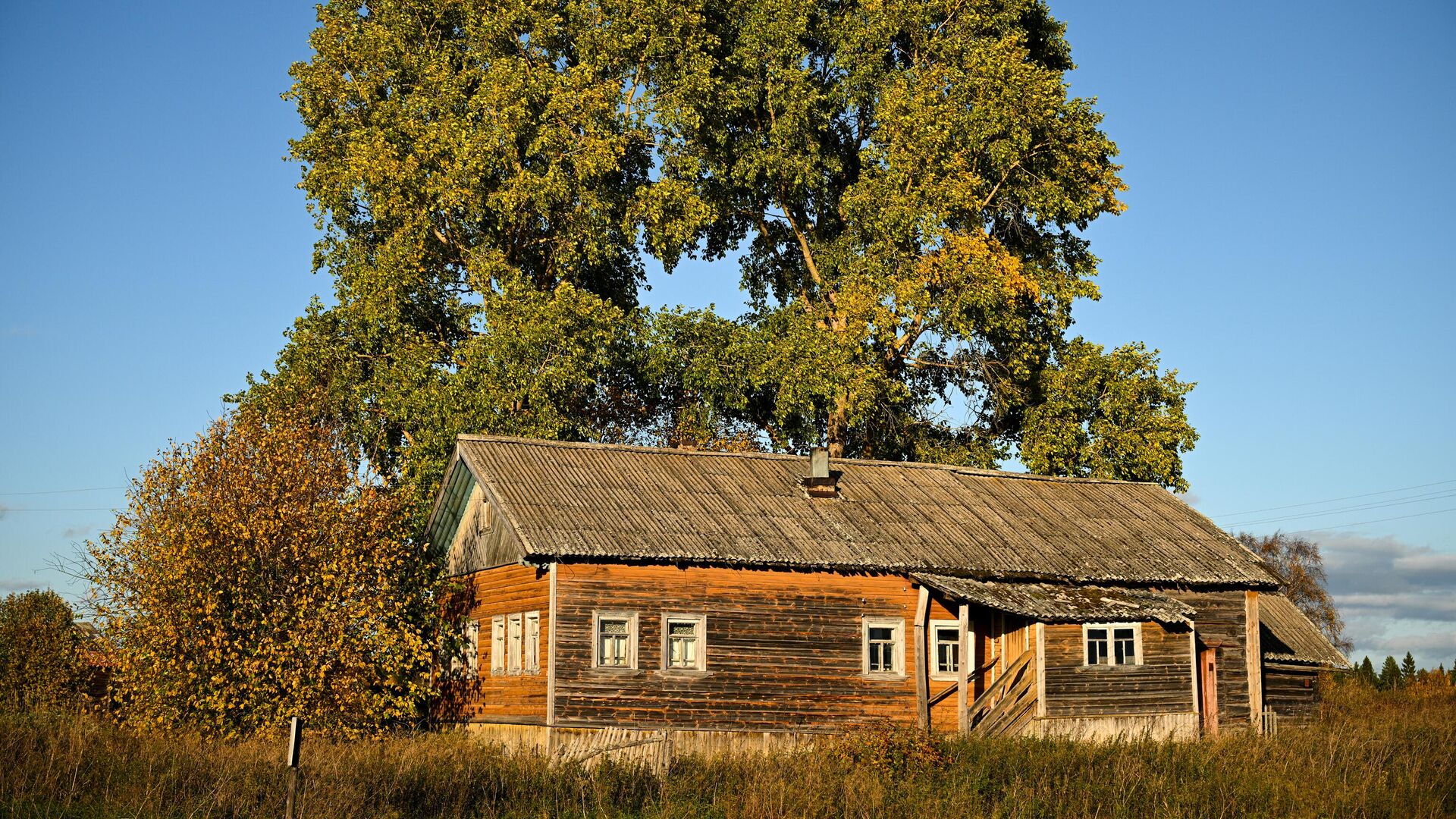 Дом в деревне  - РИА Новости, 1920, 16.05.2024