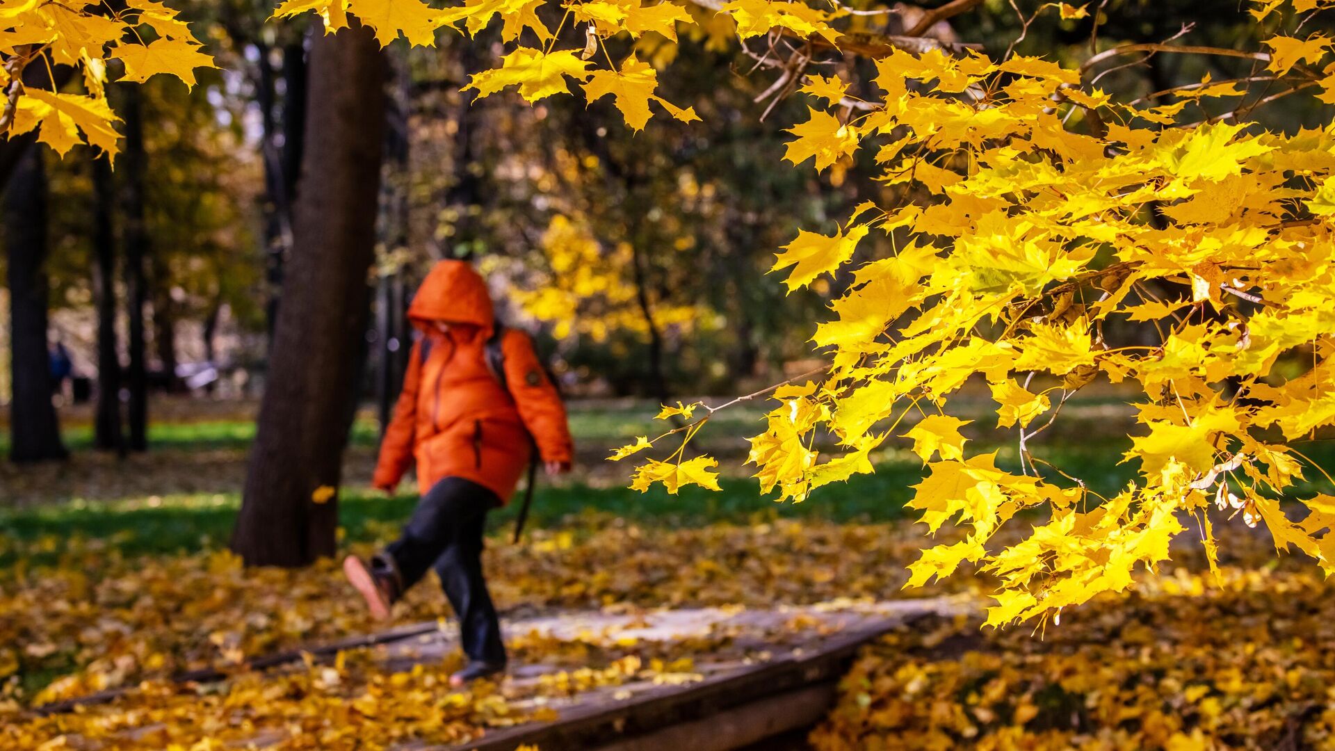 Осень в Москве - РИА Новости, 1920, 22.09.2025