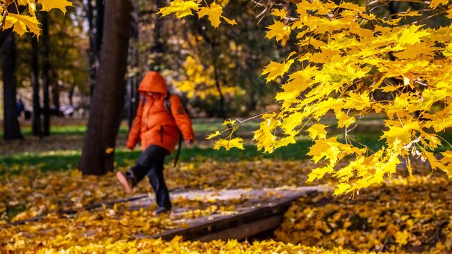 Осень в Москве