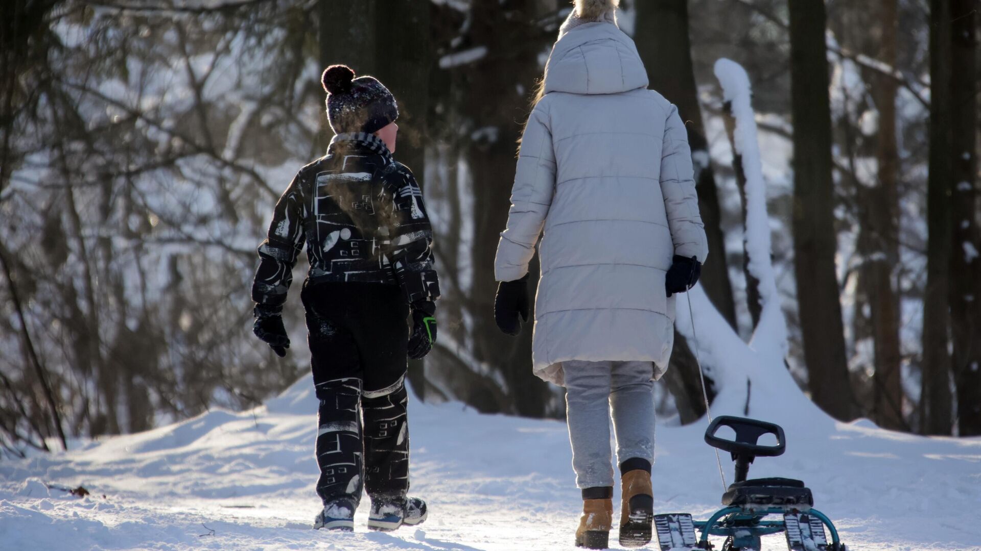 Люди в Битцевском парке в Москве. Архивное фото - РИА Новости, 1920, 12.01.2024
