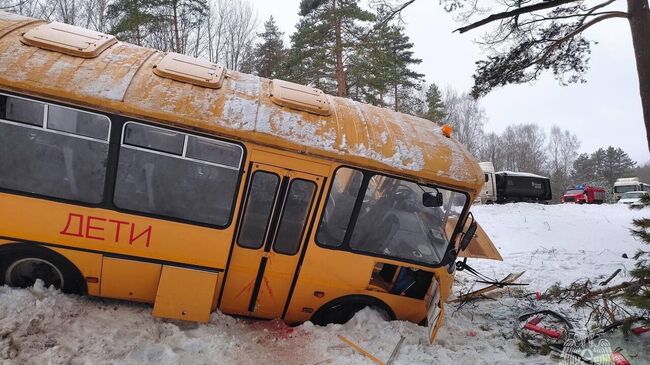 ДТП с автобусом и фурой вблизи деревни Новгородка Псковской области