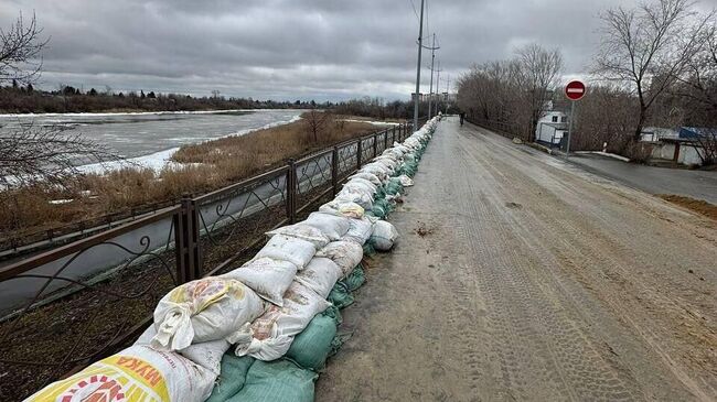 Работы по повышению уровня дамбы в Кургане