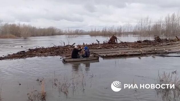 Мощное течение Тобола смыло и прибило к берегу понтонный мост в деревне под Курганом - РИА Новости, 1920, 14.04.2024