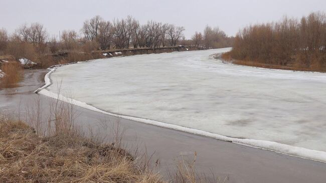 Разлив реки Тобол в городе Ялуторовске Тюменской области 