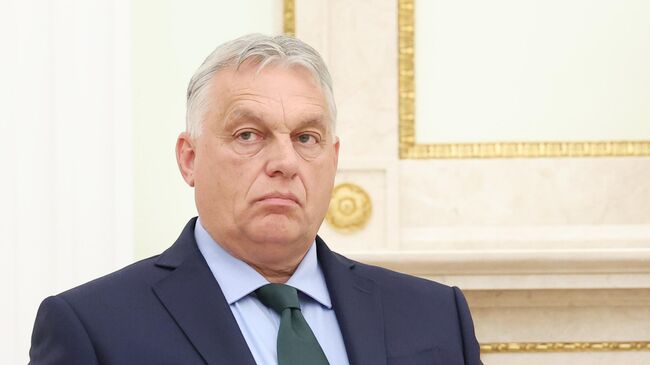 Президент РФ Владимир Путин встретился с премьер-министром Венгрии В. Орбаном