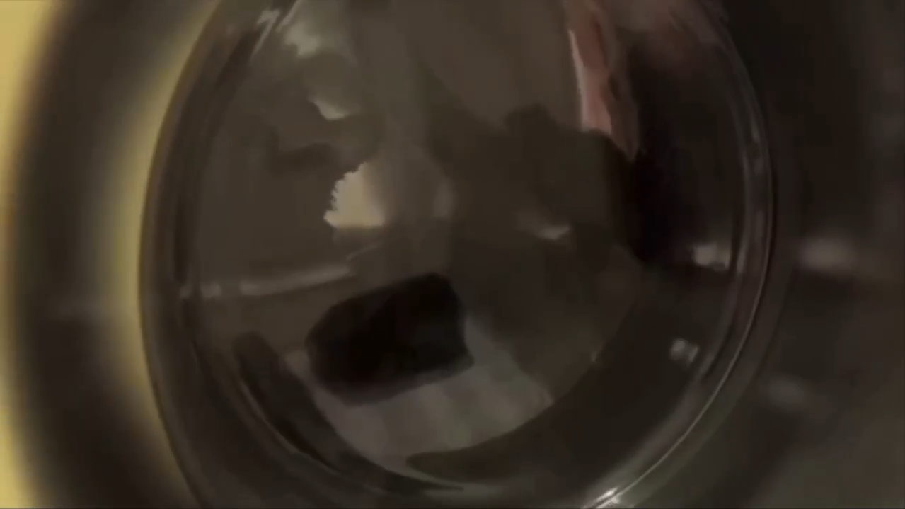 кот в стиральной машине - РИА Новости, 1920, 10.02.2025