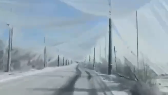 Противодроновый коридор - РИА Новости, 1920, 02.03.2025