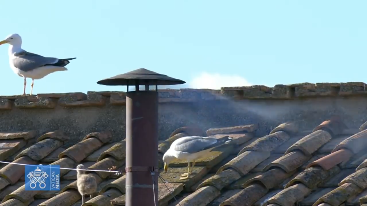 конклав - РИА Новости, 1920, 08.05.2025