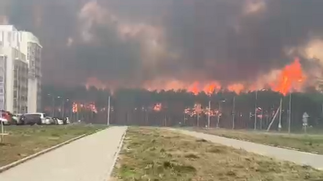 лесной пожар