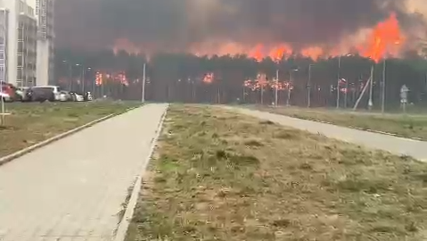 лесной пожар - РИА Новости, 1920, 13.05.2025