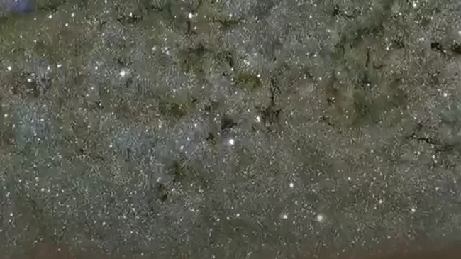 Марс звезды