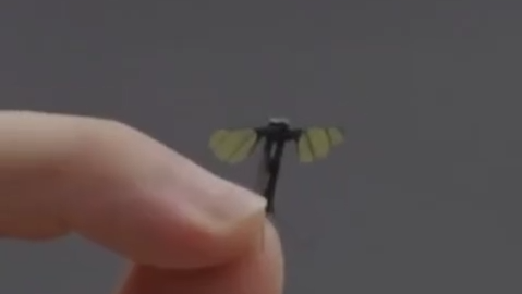 дрон-комар - РИА Новости, 1920, 22.06.2025