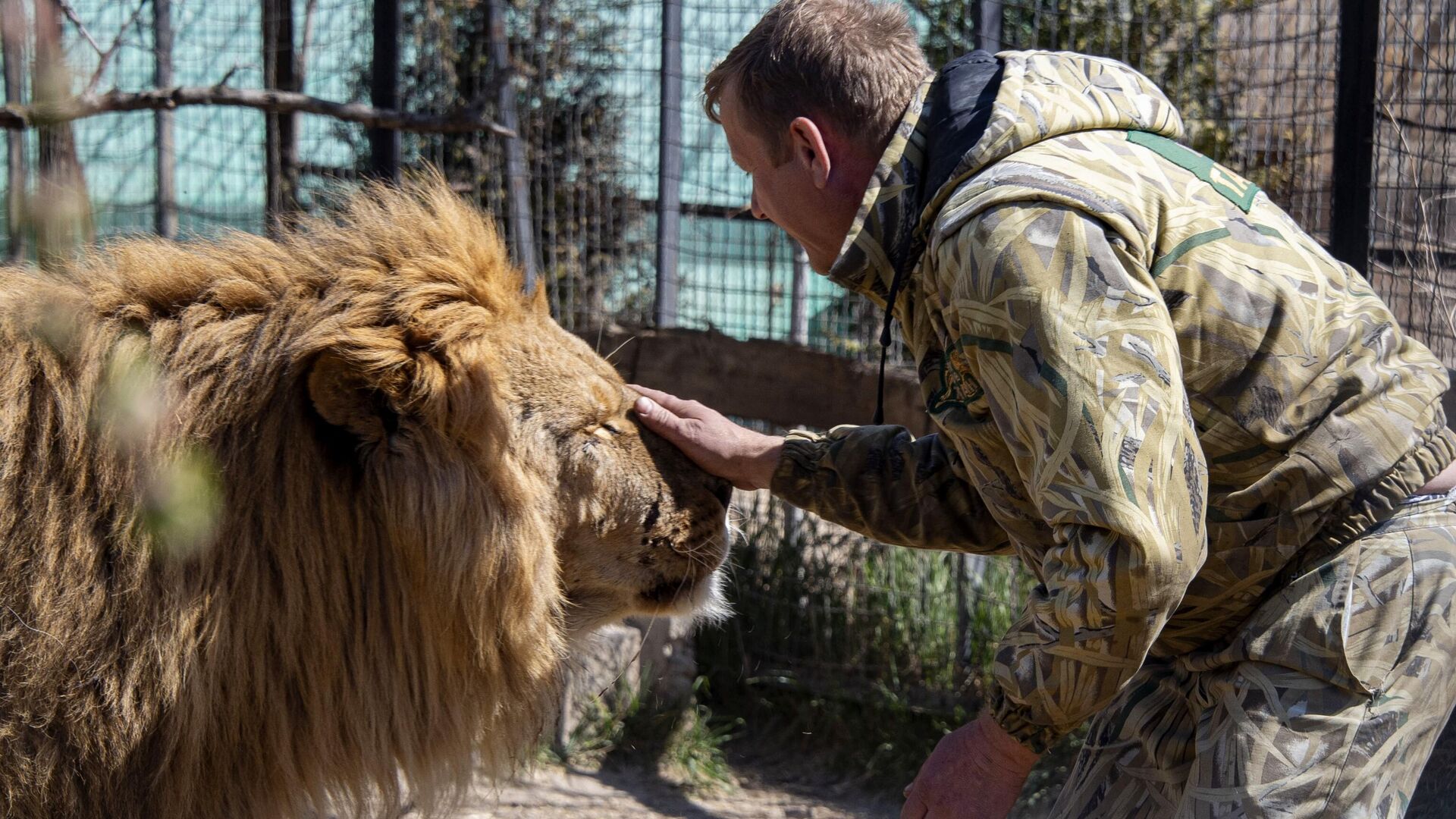 Олег Зубков - РИА Новости, 1920, 29.06.2025
