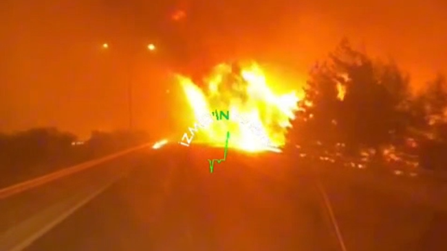 лесные пожары в Турции