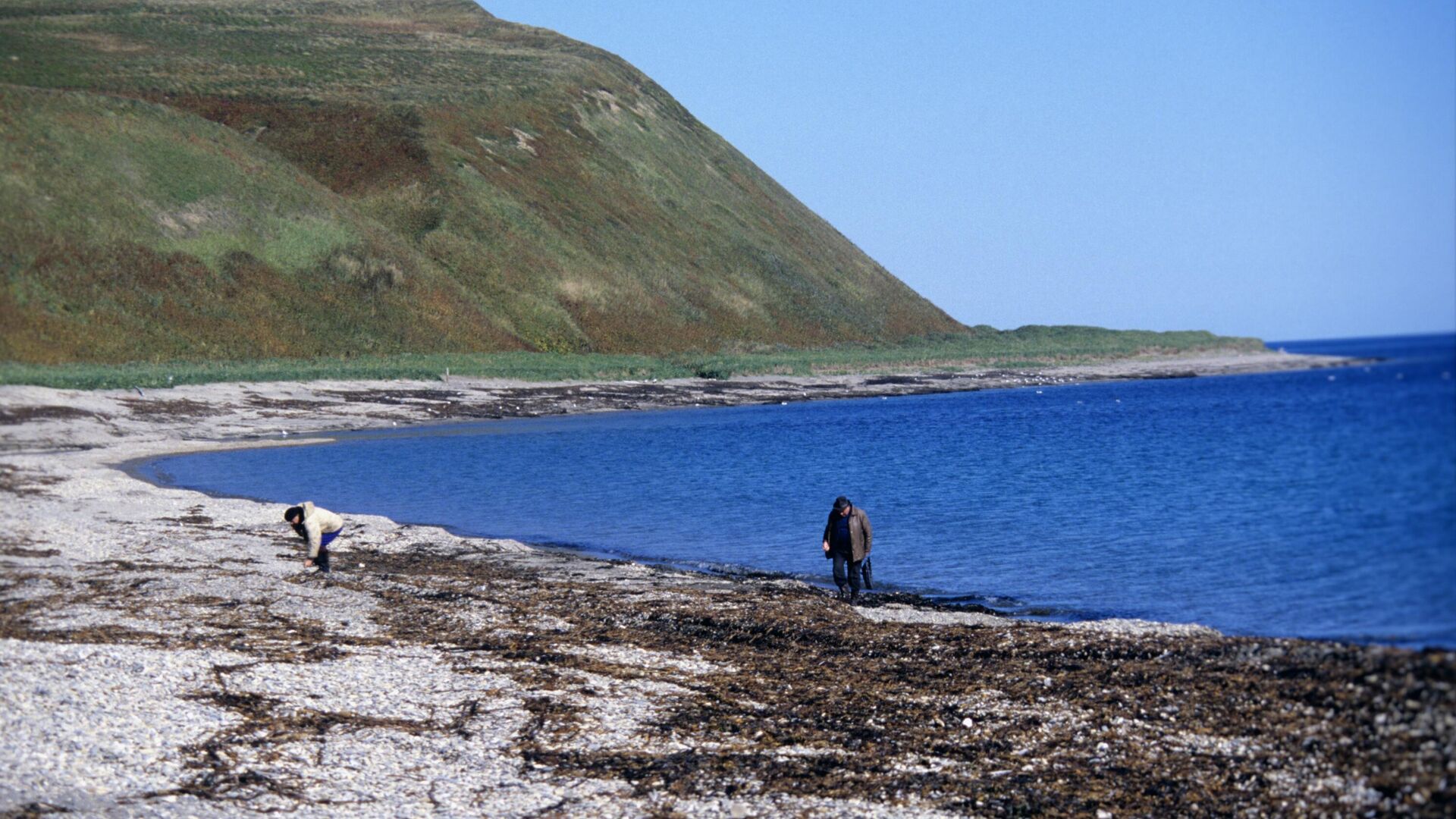 Командорские острова - РИА Новости, 1920, 29.07.2025