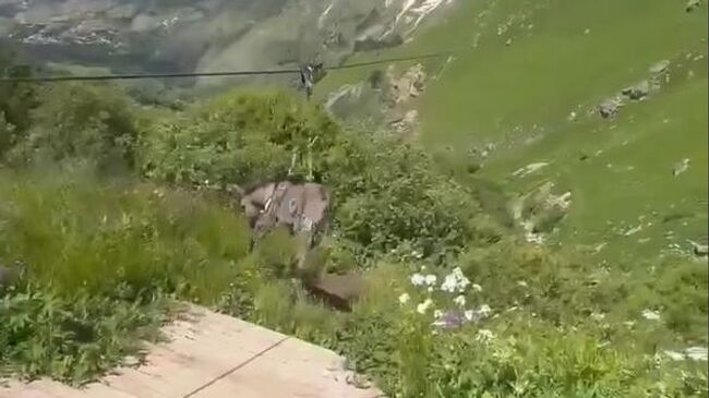 Блогер в Дагестане прокатил осла на зиплайне