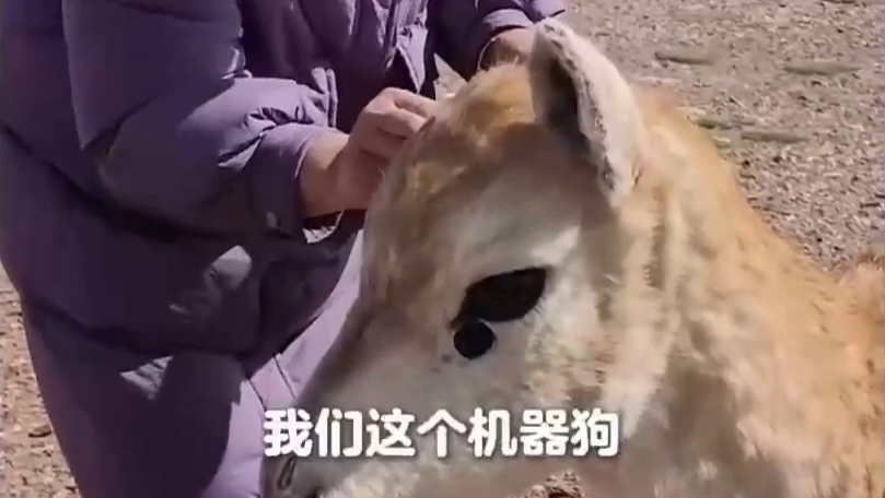 робот-антилопа - РИА Новости, 1920, 12.08.2025