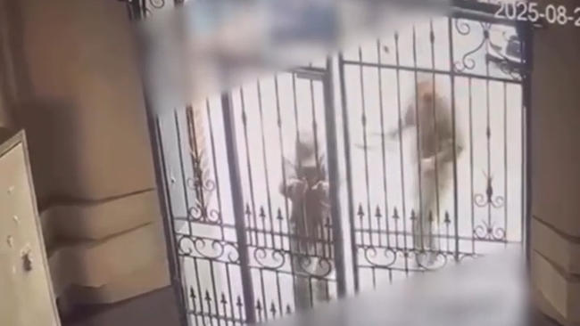 Сотрудники ТЦК