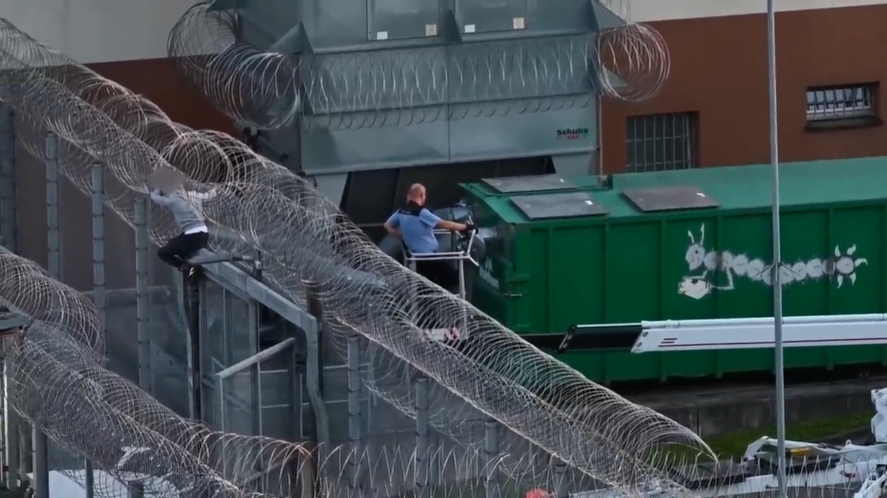 Заключенный застрял в колючей проволоке - РИА Новости, 1920, 05.09.2025