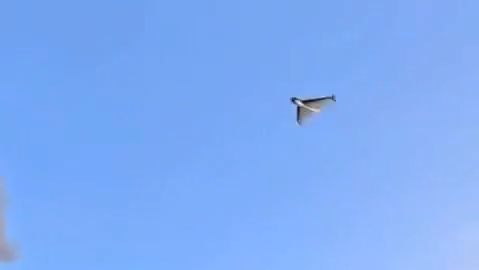 Дрон Герань - РИА Новости, 1920, 22.09.2025