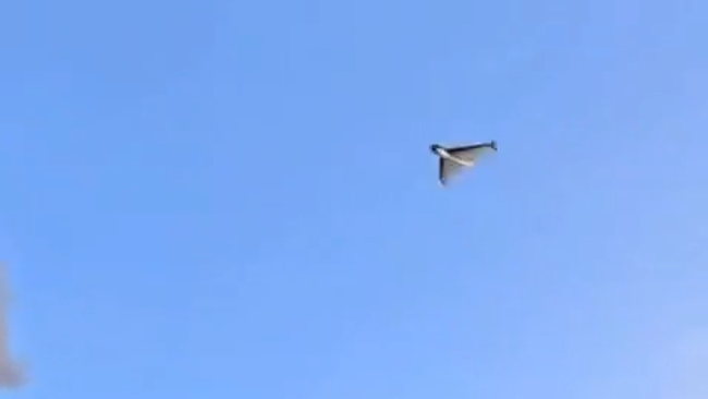 Дрон Герань