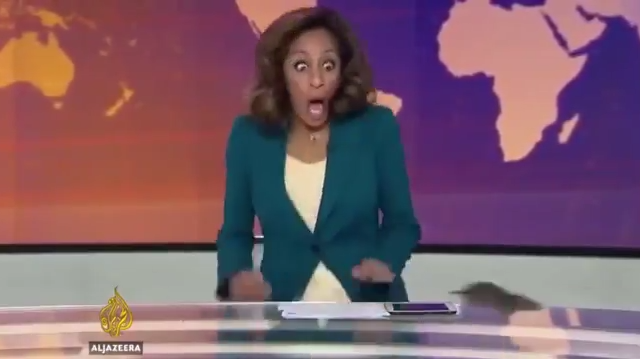 Крыса в эфире - РИА Новости, 1920, 11.10.2025