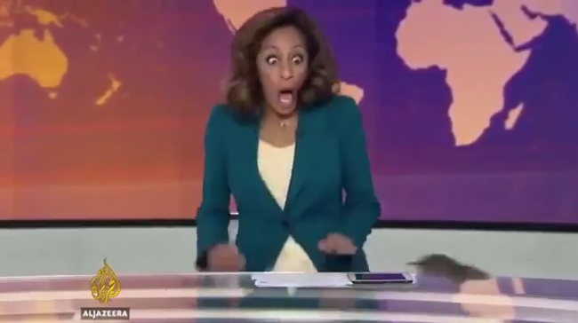 Крыса в эфире