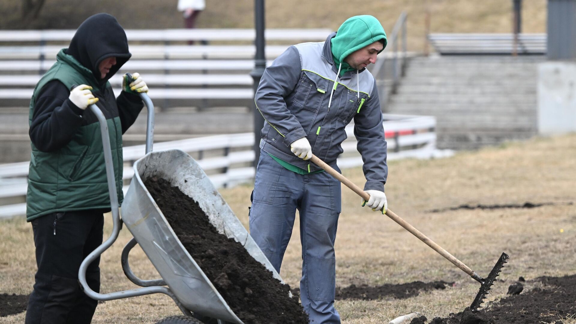 Повседневная жизнь - РИА Новости, 1920, 23.10.2025