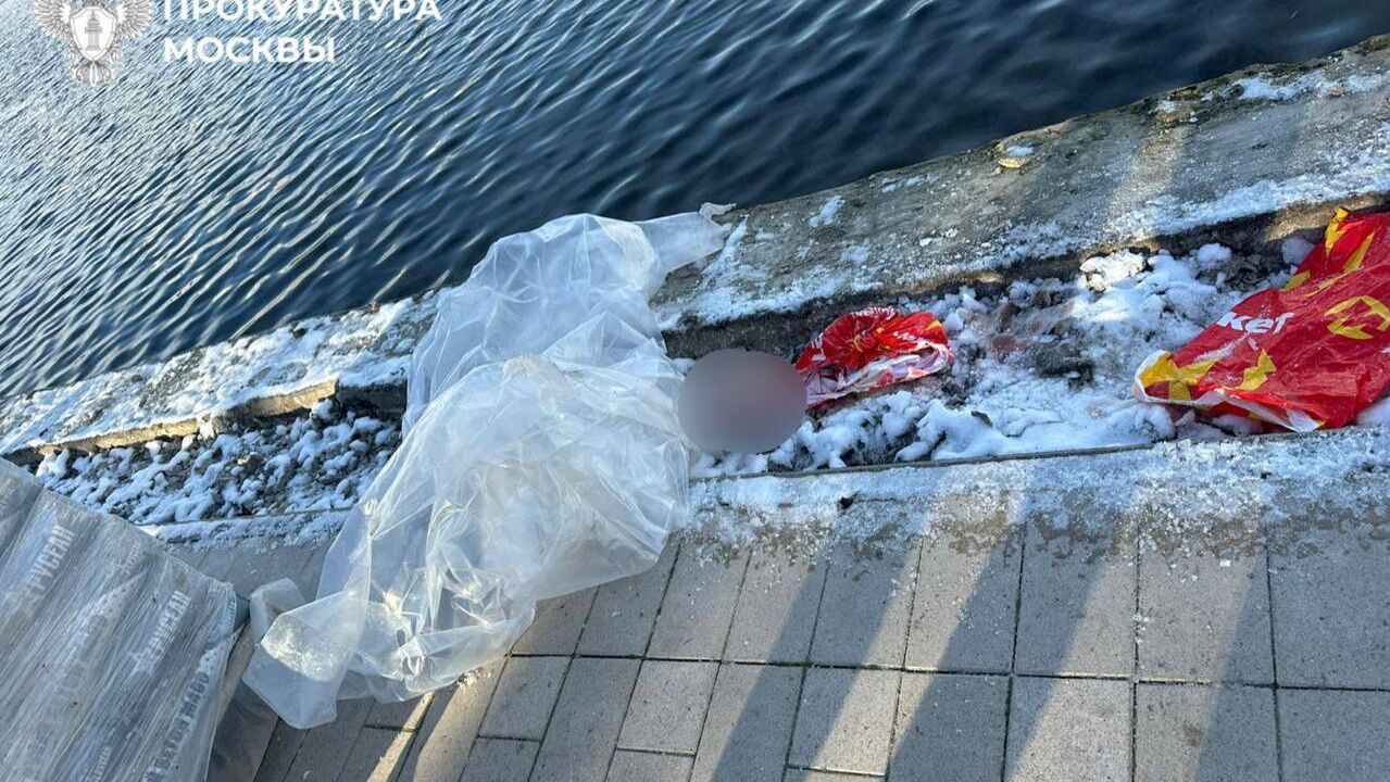 Голова человека в пакете - РИА Новости, 1920, 17.11.2025