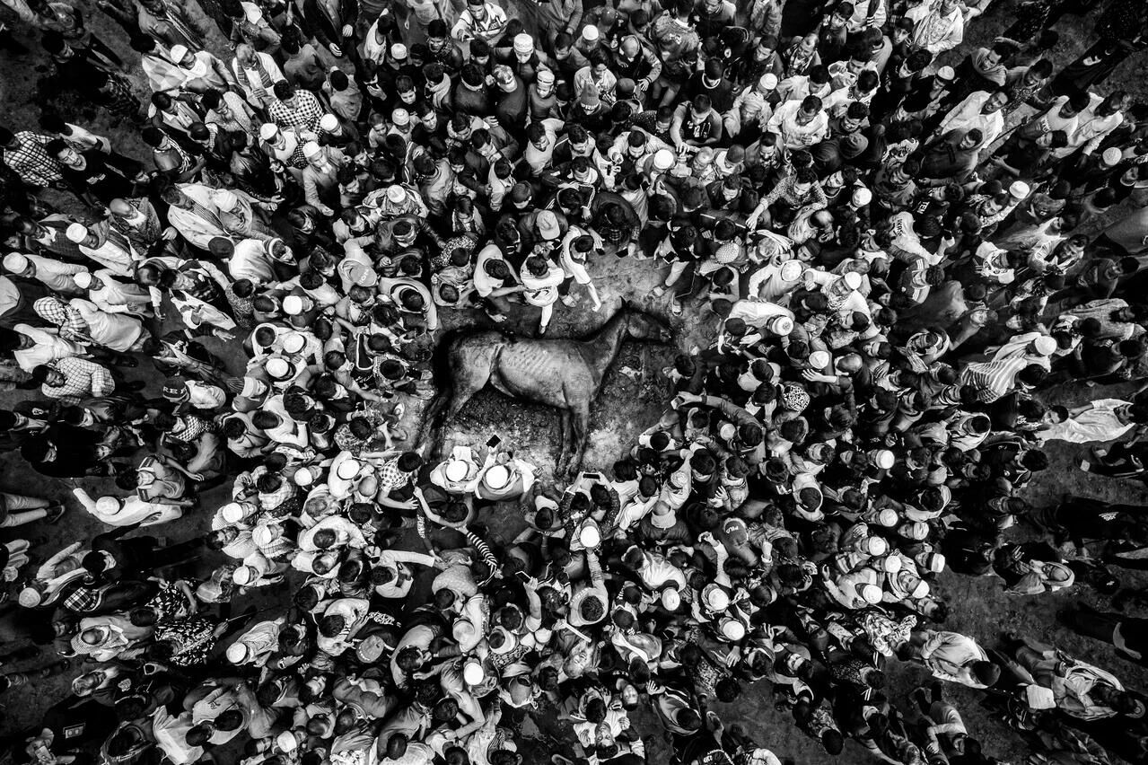 Последний забег: падение чемпиона, фотограф С. М. Аль Музтаба Росул, Бангладеш - РИА Новости, 1920, 20.11.2025