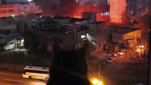 Кот наблюдает через окно за пожаром после ударов ВС РФ по Киеву - РИА Новости, 1920, 29.11.2025