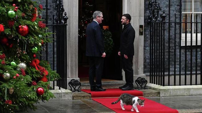Владимир Зеленский, Кир Стармер и кот Ларри в Лондоне
