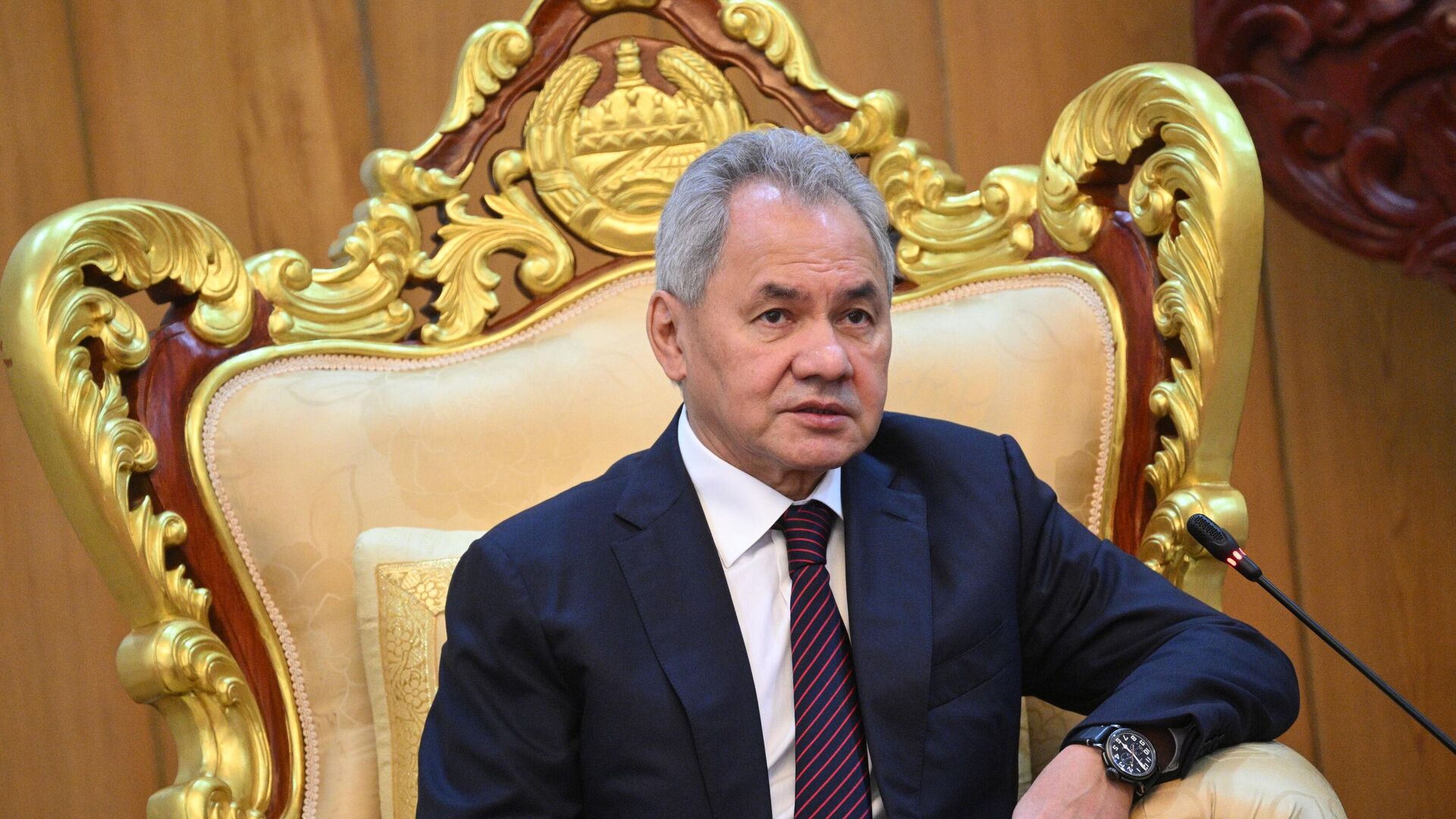Визит секретаря Совета безопасности РФ Сергея Шойгу в Лаос - РИА Новости, 1920, 12.12.2025