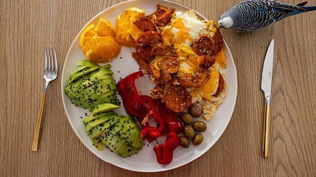 умная тарелка