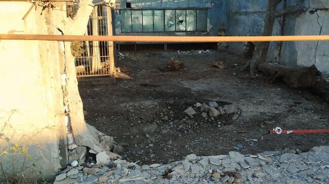 ВСУ атаковали дронами зоопарк в Запорожской области