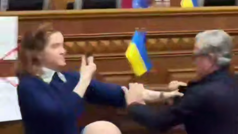 Безуглая и Тарута подрались в Раде Безуглая и Тарута подрались в Раде - РИА Новости, 1920, 16.12.2025