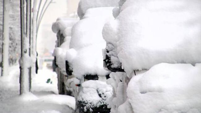 заснеженные автомобили