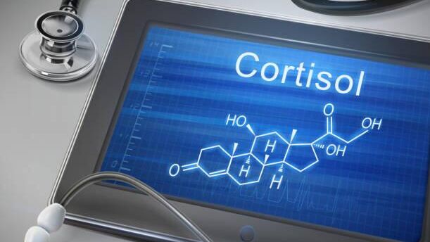 Кортизол - РИА Новости, 1920, 10.02.2026