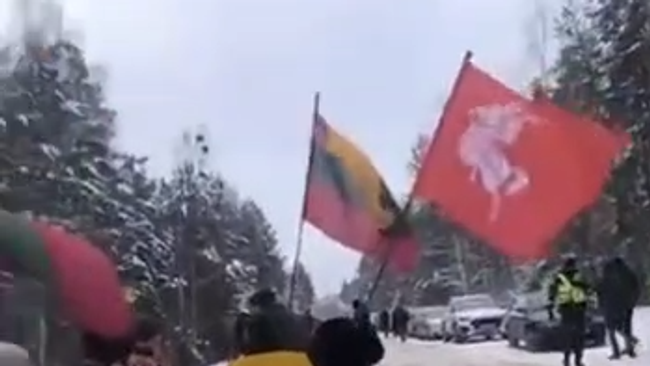 Литовцы протестуют против строительства полигона НАТО   