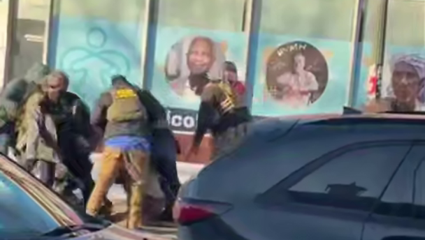 Агенты ICE застрелили мужчину при задержании в Миннеаполисе  - РИА Новости, 1920, 24.01.2026