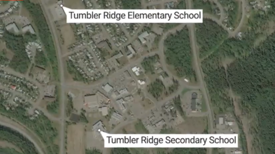 Средняя школа Тамблер-Ридж - РИА Новости, 1920, 11.02.2026