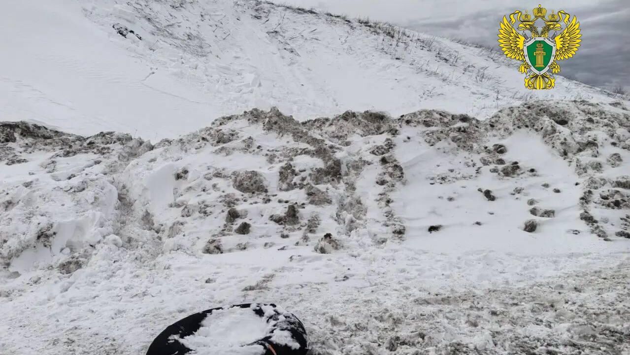 Ватрушка - РИА Новости, 1920, 16.02.2026