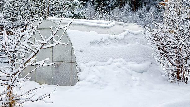 снег на теплице снег на теплице - РИА Новости, 1920, 04.03.2026
