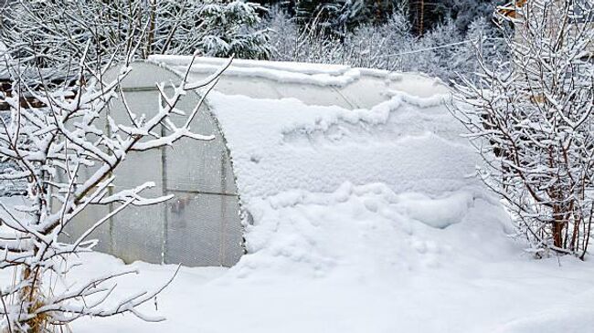 снег на теплице