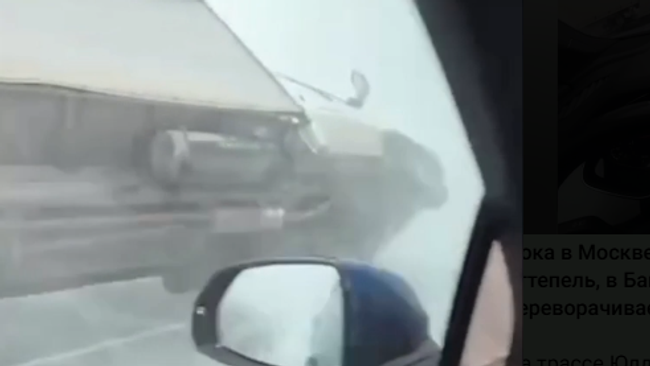 Газель падает на бок от ветра