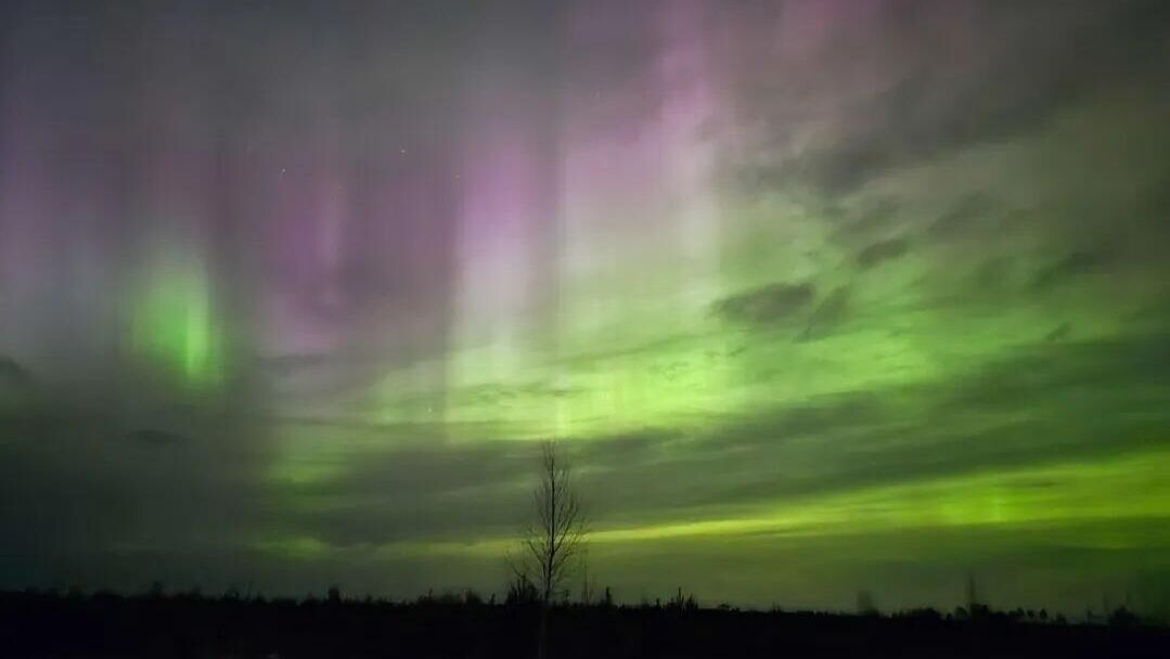 Полярное сияние в регионах России в ночь на 23 марта - РИА Новости, 1920, 23.03.2026