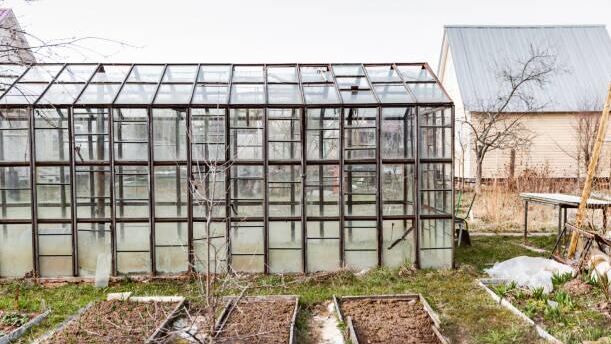 дача - РИА Новости, 1920, 25.03.2026